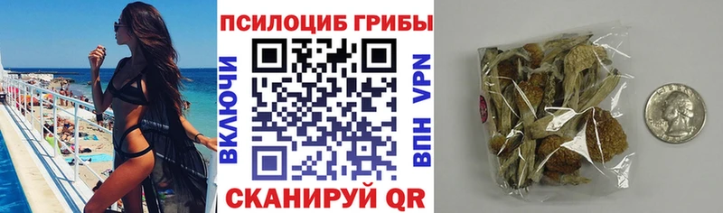 Галлюциногенные грибы мухоморы Сураж