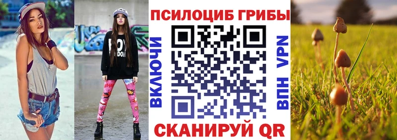 Купить закладки  Сураж  Галлюциногенные грибы мухоморы 