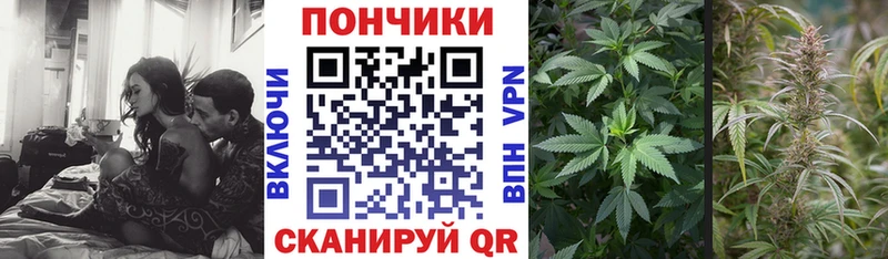 Купить  Сураж  Марихуана семена 